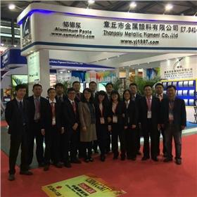 銀箭鋁銀漿銷售部同事合影留念 銀箭鋁銀漿銷售部同事合影留念