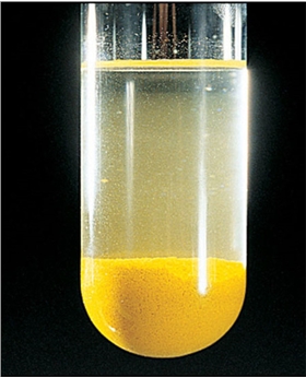 油漆分層.jpg 油漆分層.jpg